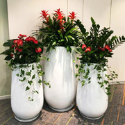 精品組合花卉